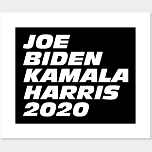 Biden harris Posters and Art